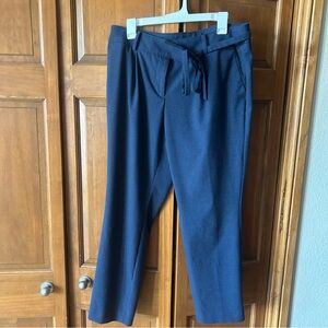 LOFT Women’s Deep Blue Brushed Dress Pants